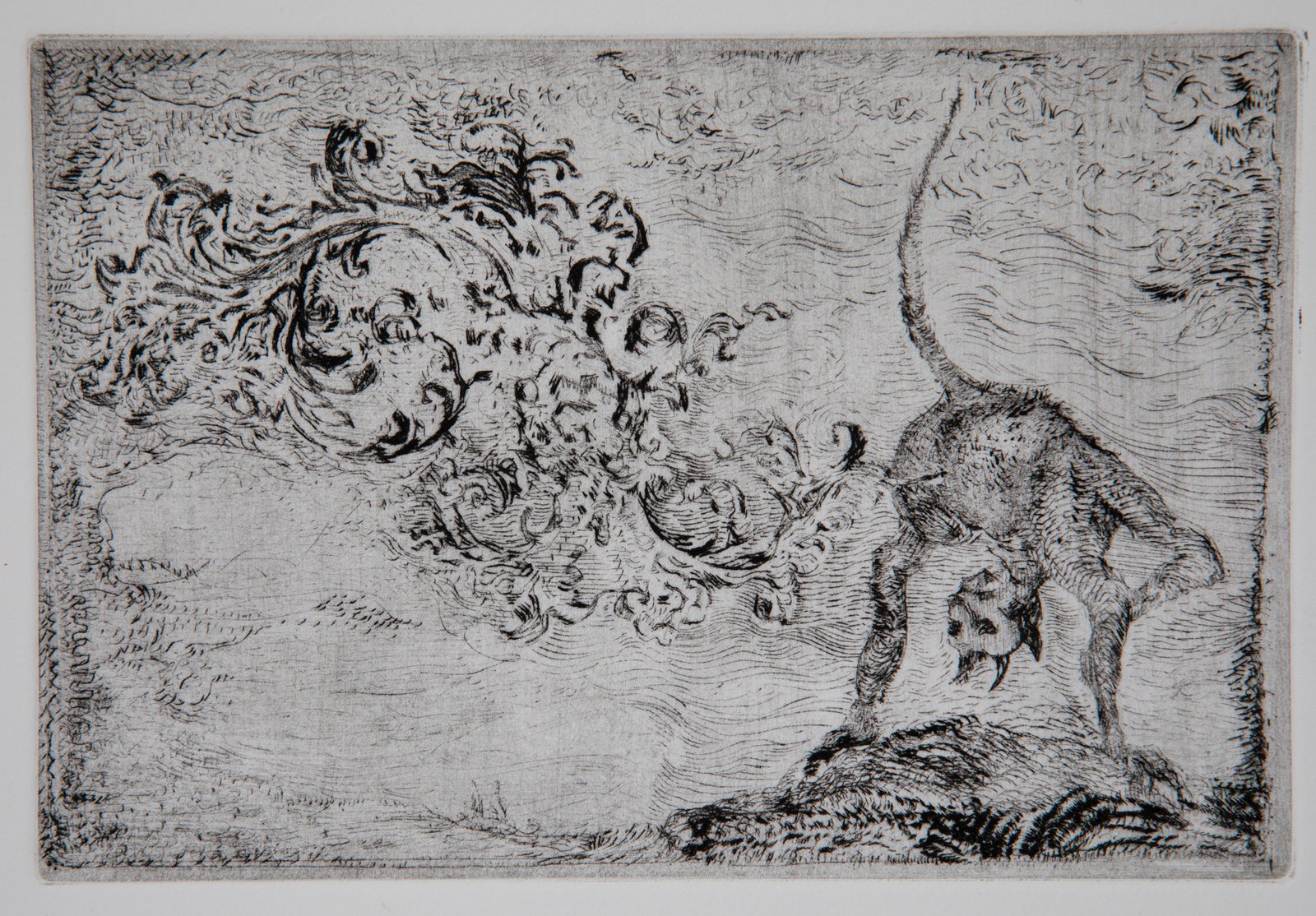 Devil Farting Filigree